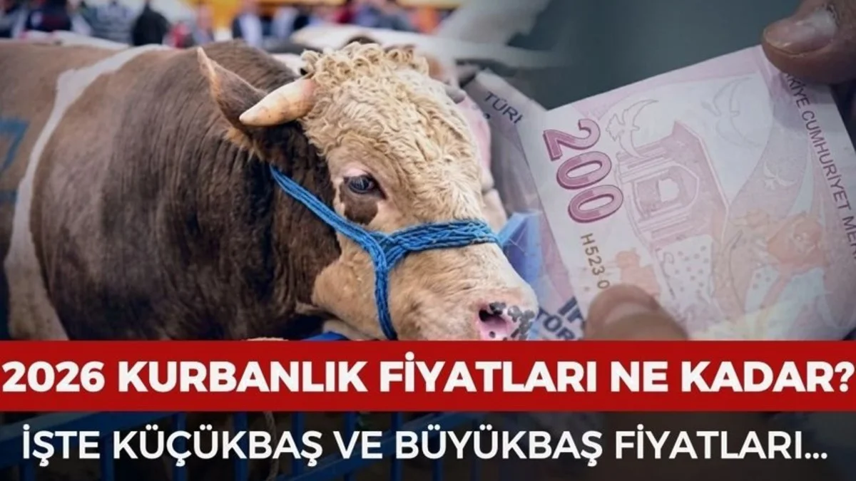 2026 Kurbanlık Fiyatları Kaç TL Oldu? Büyükbaş Ve Küçükbaş Güncel Liste
