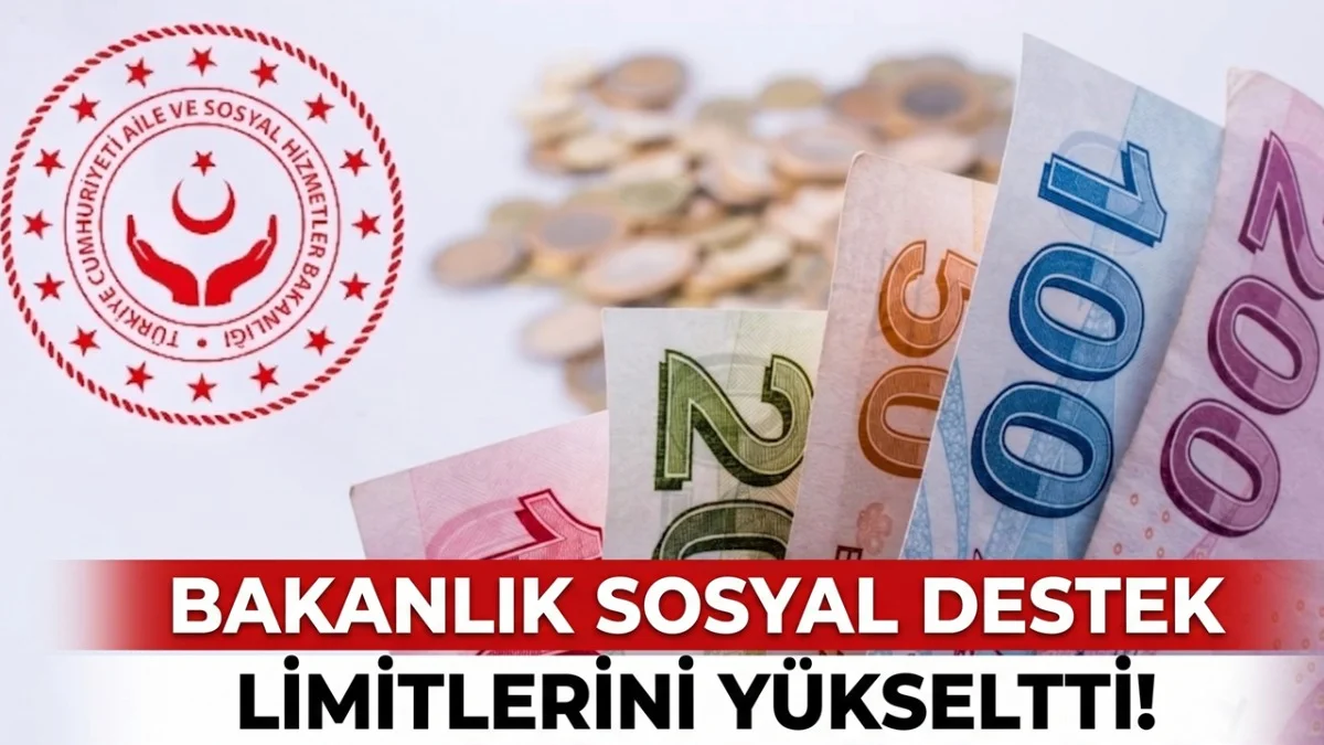Bakanlıktan Vatandaşa Tam Destek! Sosyal Yardım Limiti 1 Milyon TL Oldu - Ekonomi Haberleri
