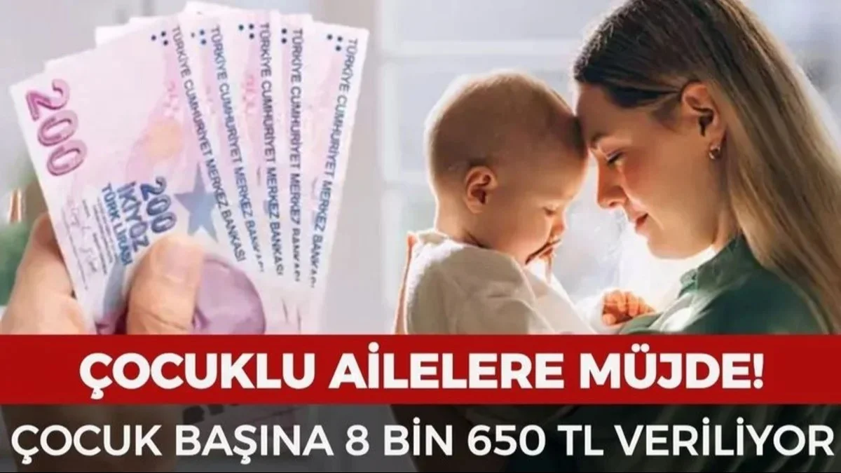 Çocuklu Ailelere 8.650 TL Destek! Devletten Yeni Sosyal Yardım Hamlesi - Ekonomi Haberleri