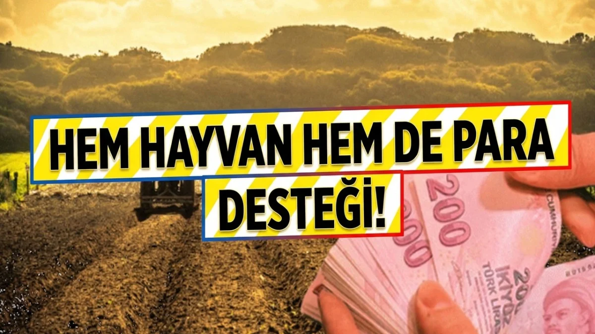 Devletten İki Destek Birden: Hem Hayvan Verecek Hem de 180 Bin TL Ödeyecek! - Gündem Haberleri